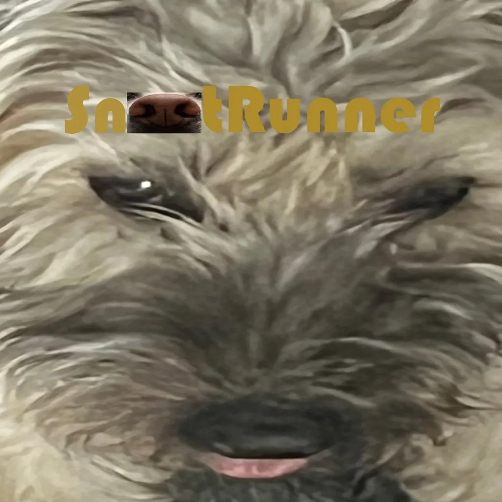 Snoot Runner Bundle