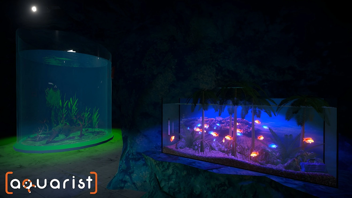 Aquarist