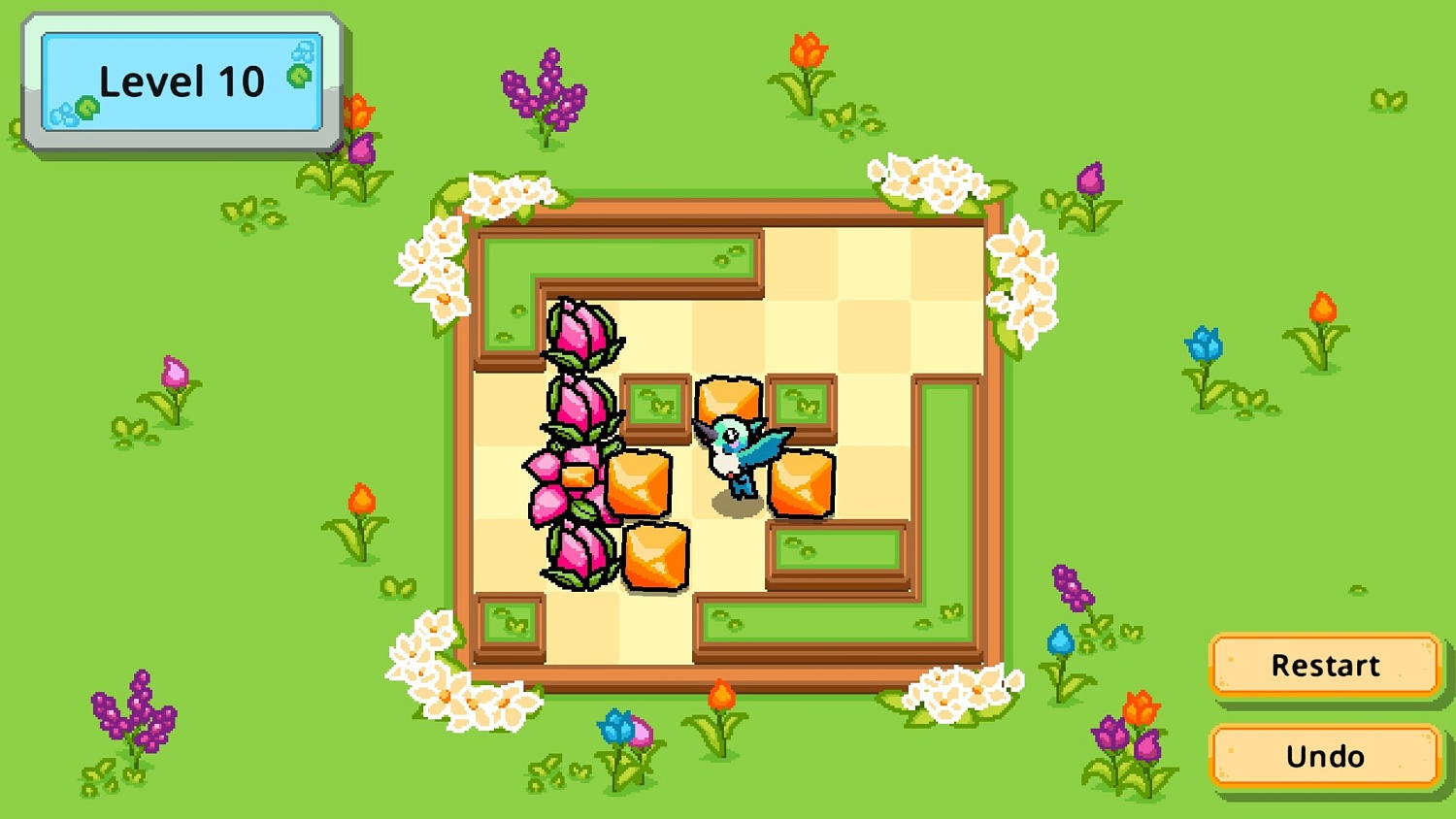 Hummingbird Garden