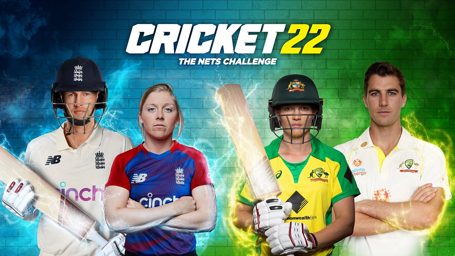 Cricket 22