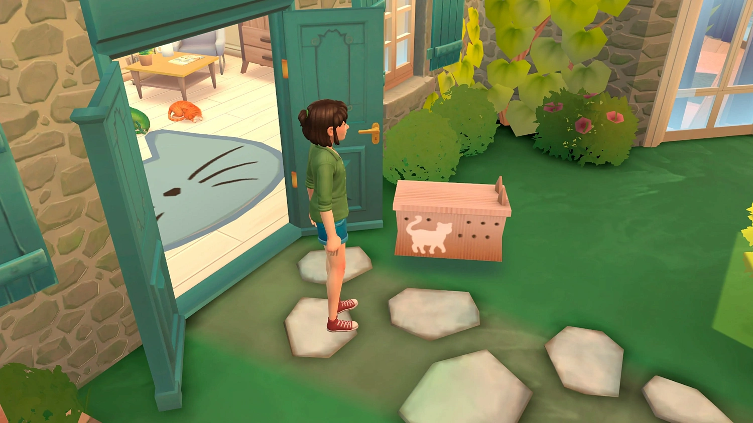 Cat Rescue Story