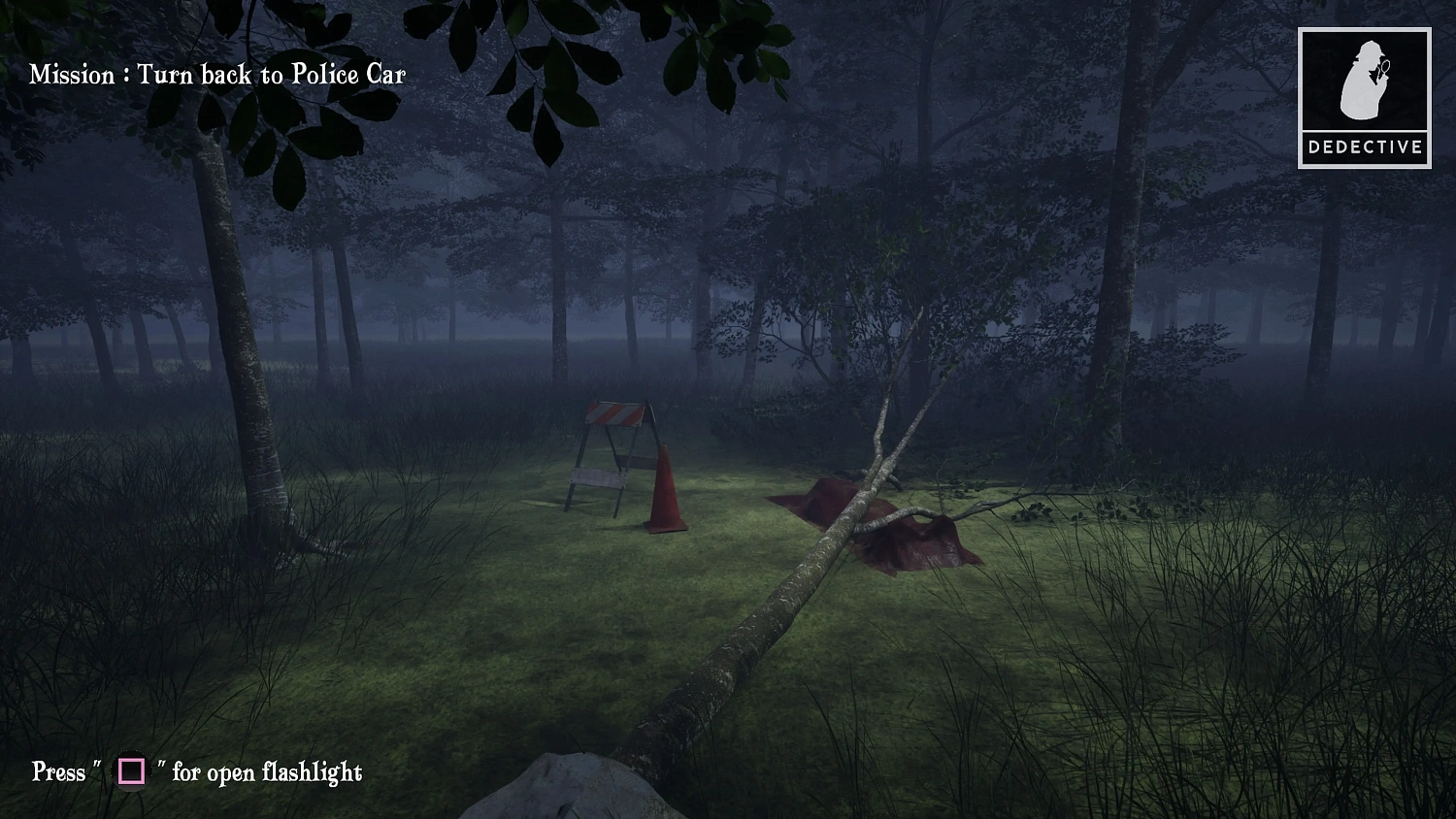 Quiet Evidence: A Detective Mystery Case