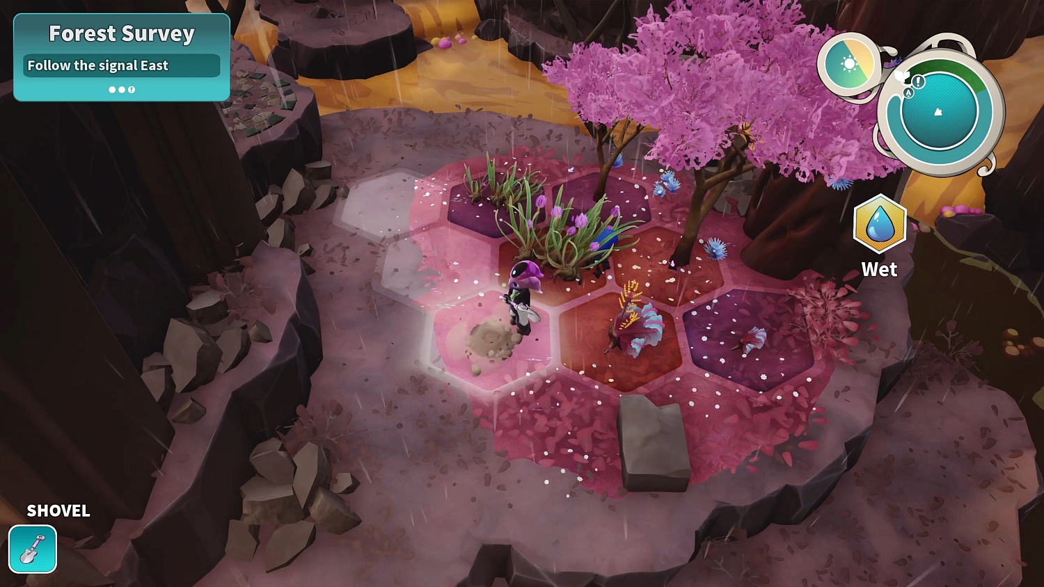 Distant Bloom