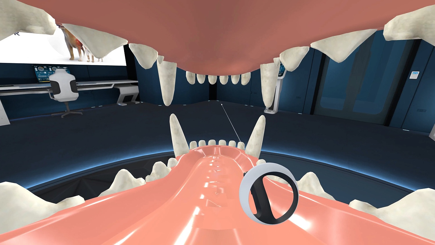 Animal Anatomy VR