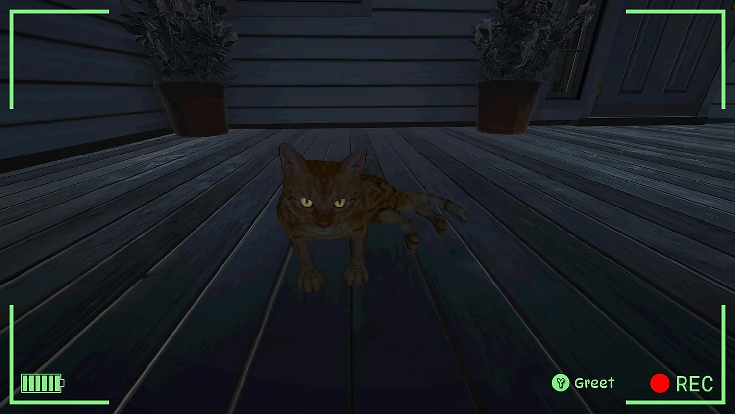 Bodycam Stray Kitty