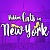Hidden Cats in New York