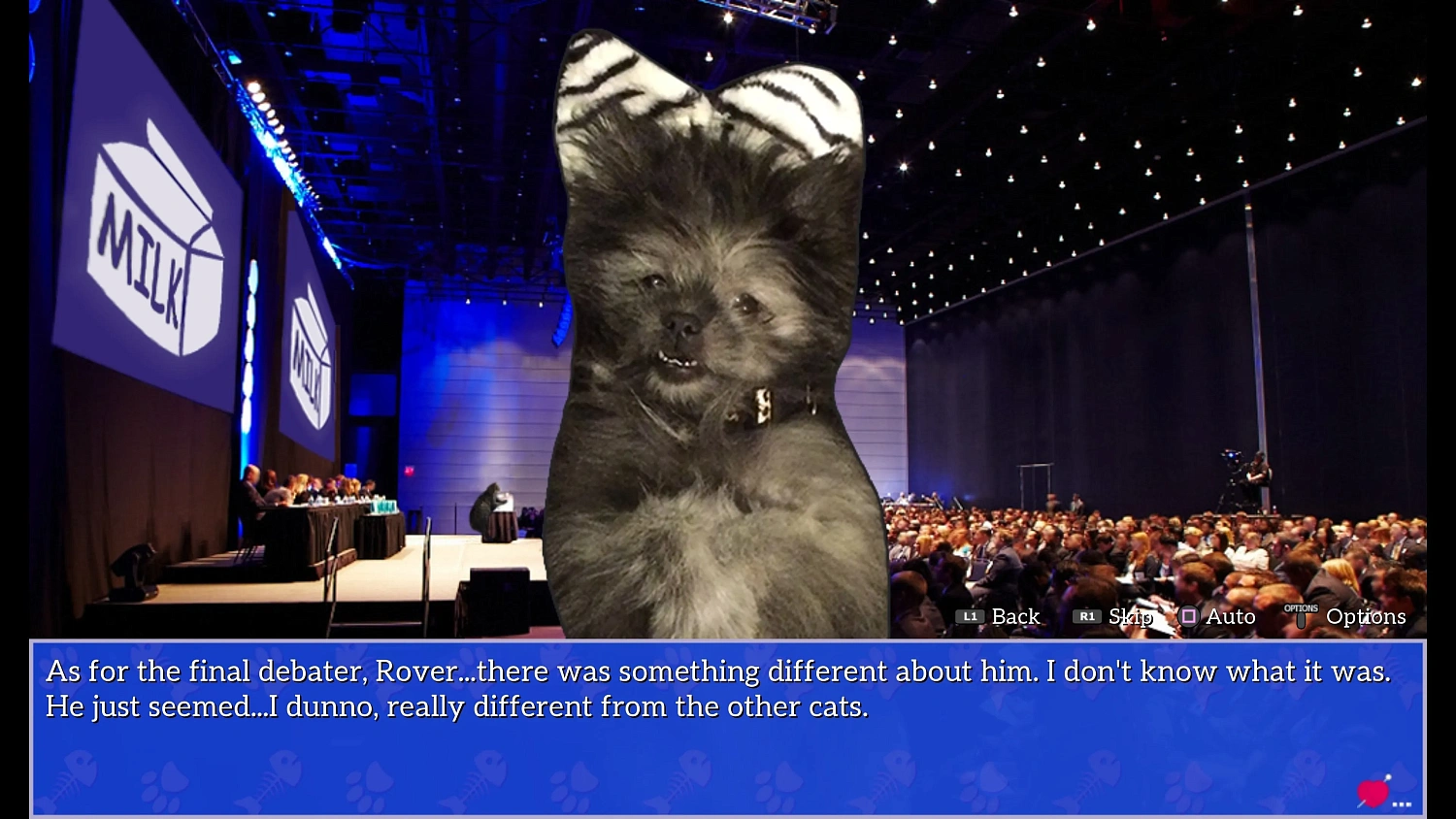 Cat President: A More Purrfect Union