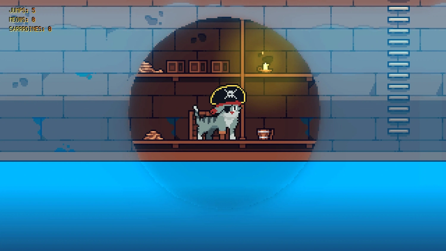 Rooftop Rascal: The Pirate Cat