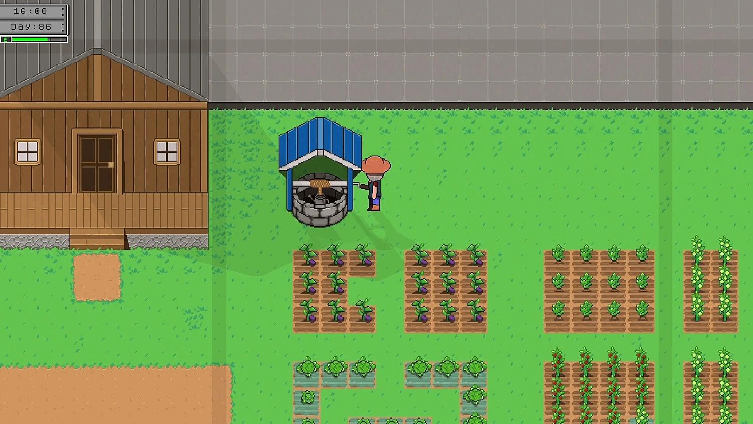 The Seed: Unit 7