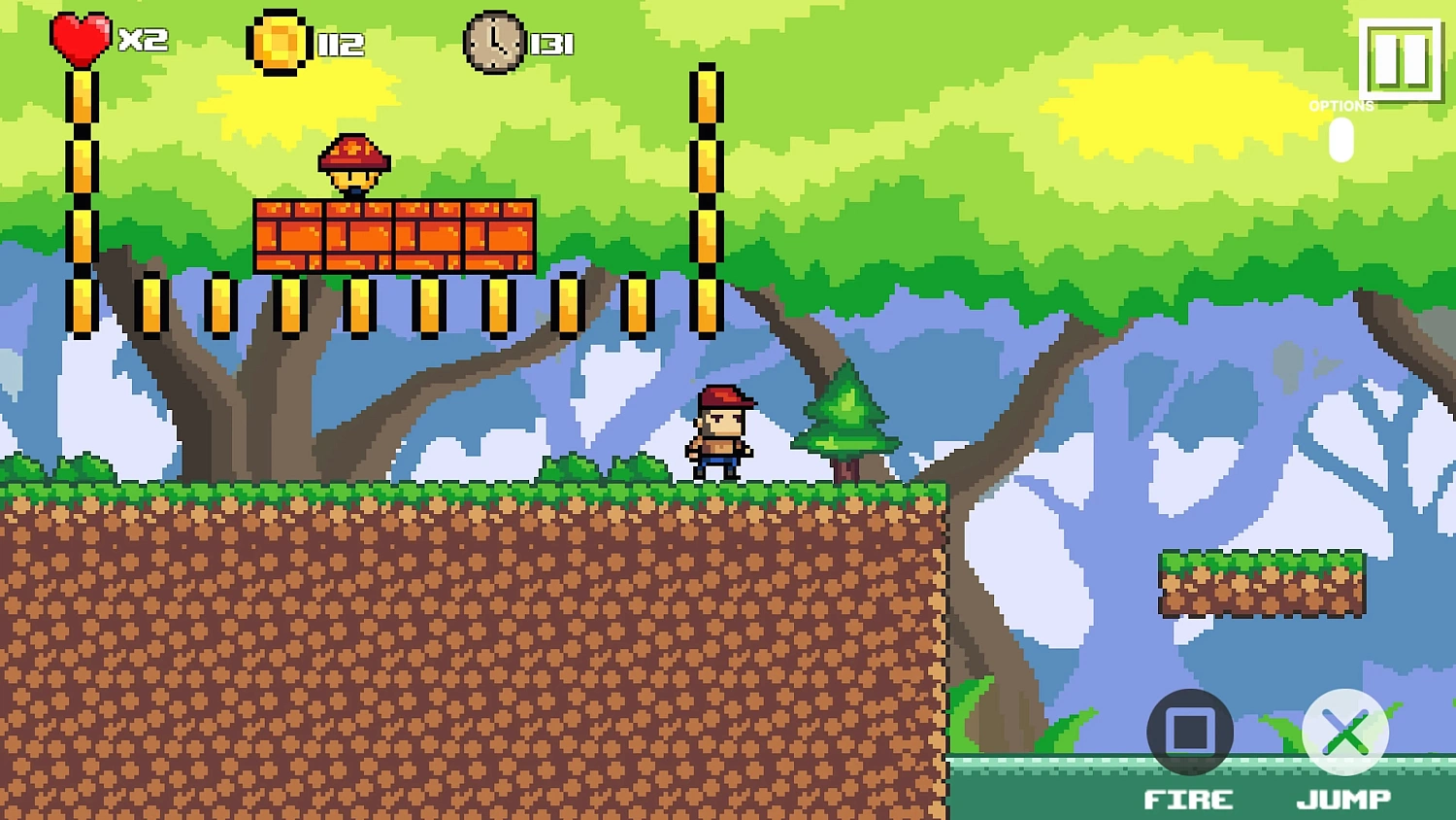 Jungle Adventure