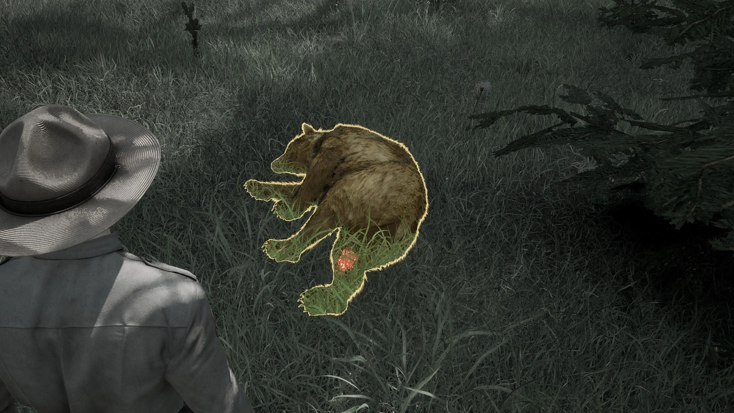 Ranger's Path: National Park Simulator