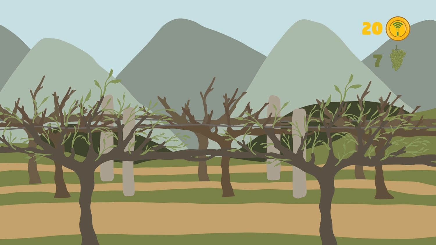 The Wine Story