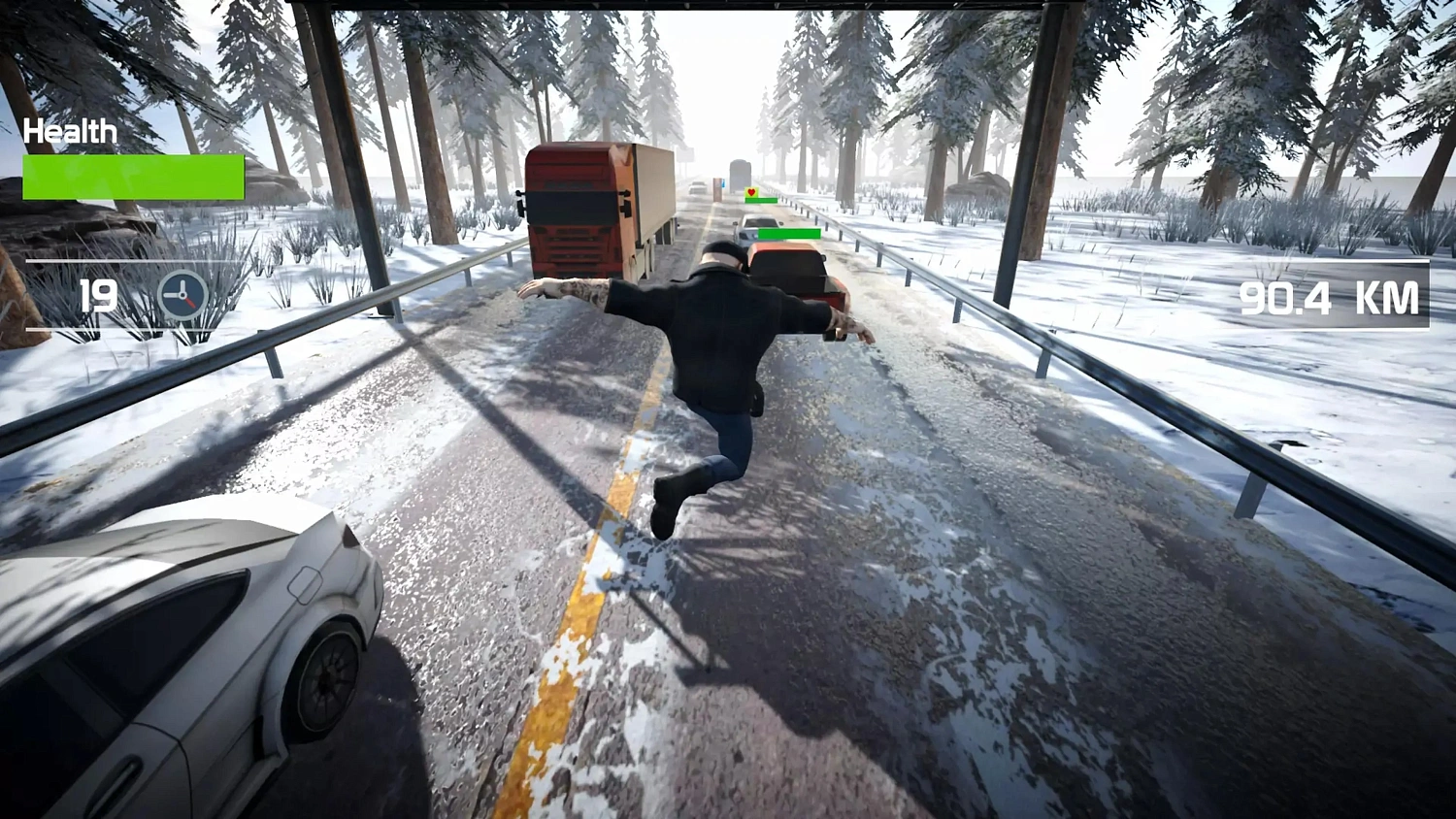Traffic Survivor