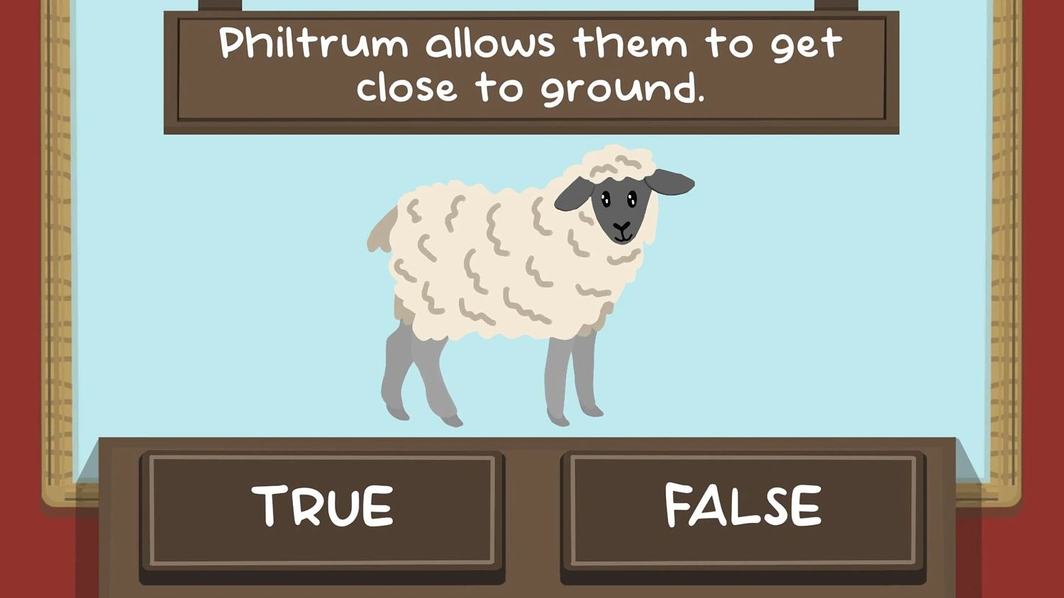 The Sheep Quiz