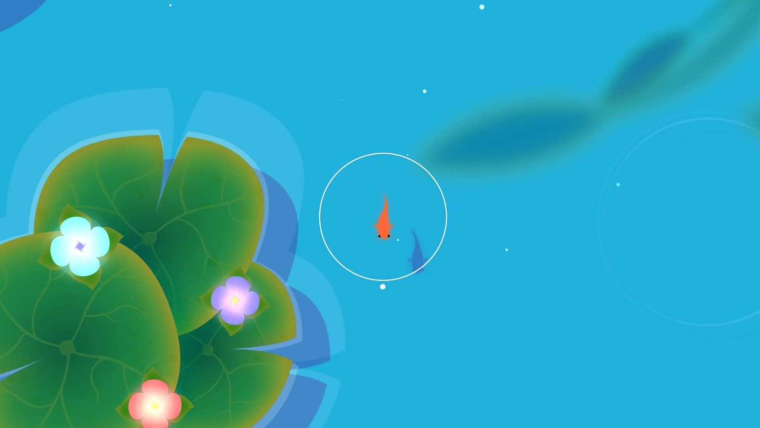 KOI