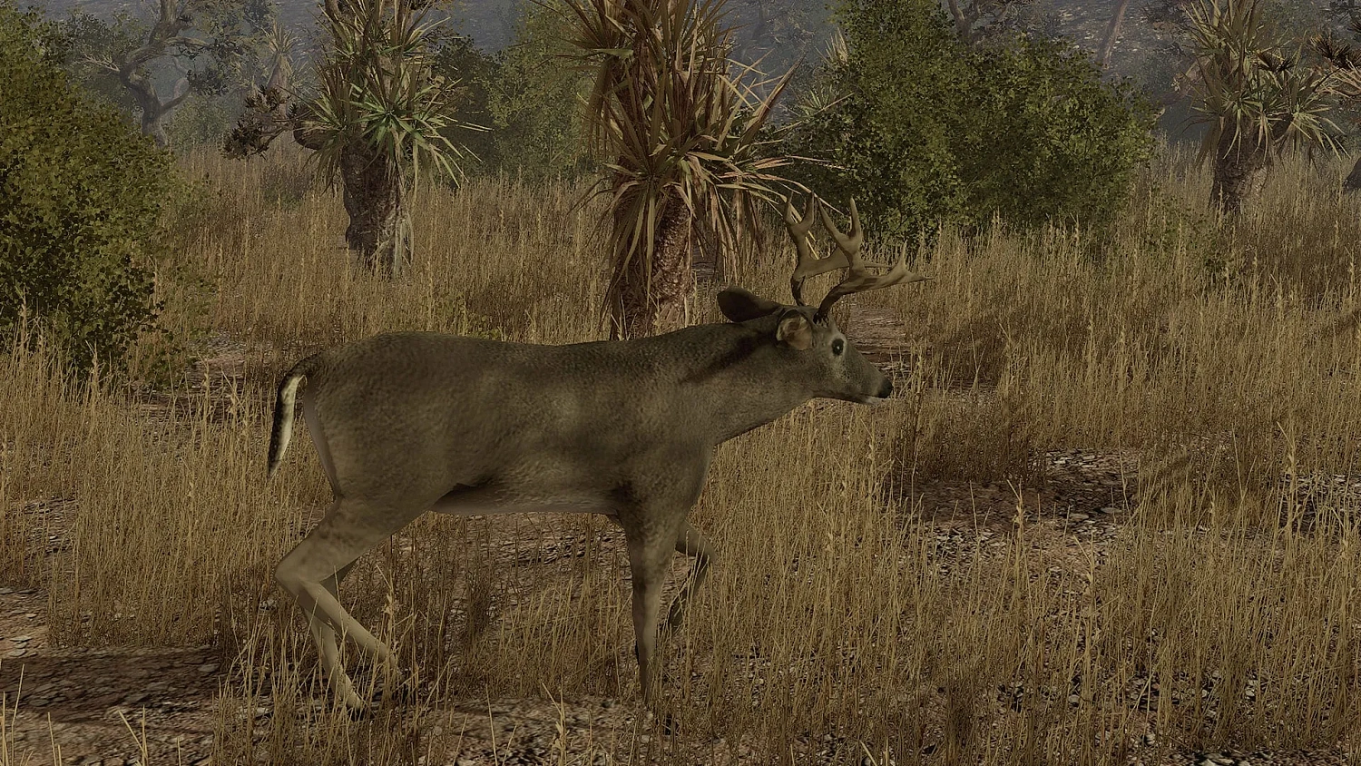Pro Deer Hunting