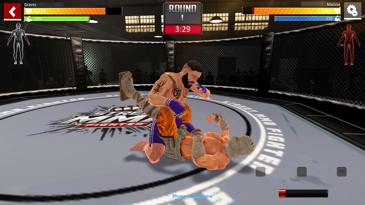 Street Combat: Ultimate MMA Fighters