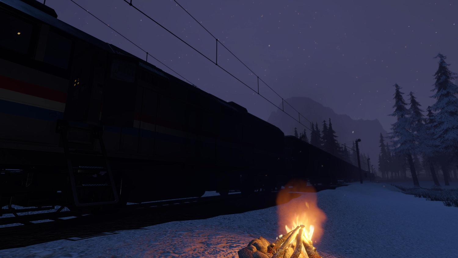 28 Days Train Wreck Survivor