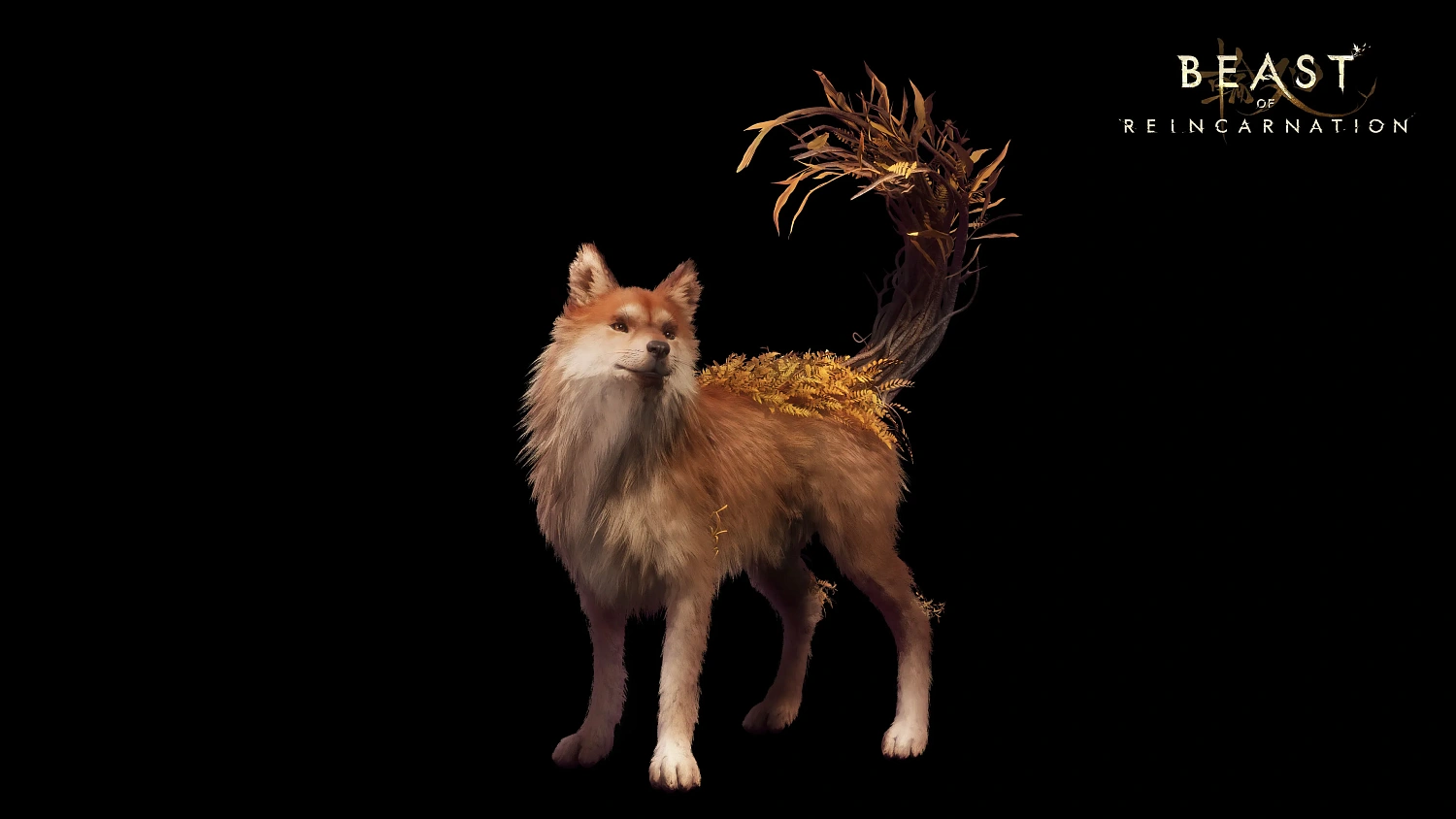 Beast of Reincarnation