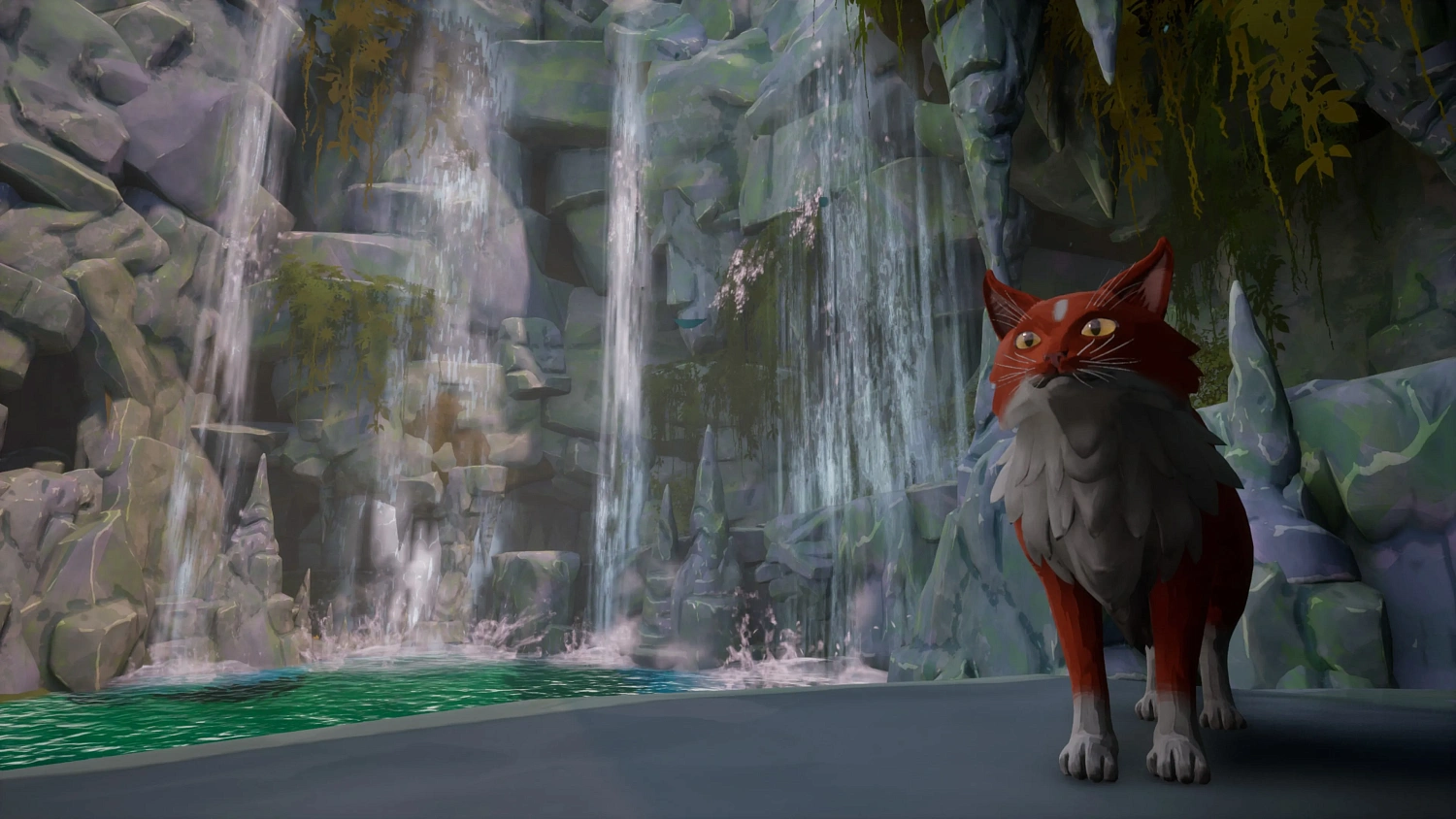 Warrior Cats: Clans of the Forest
