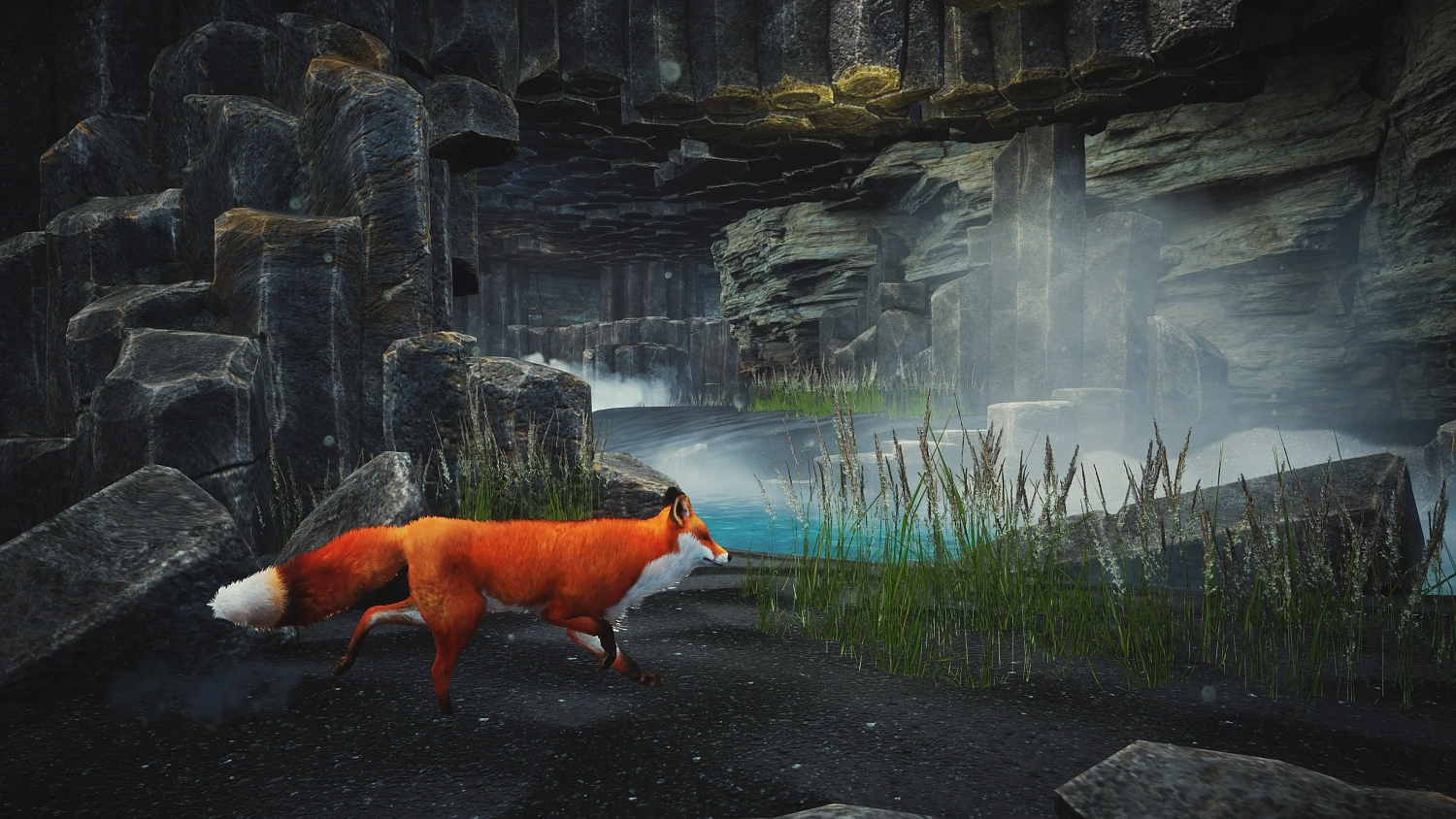 Spirit Of The North: Enhanced Edition