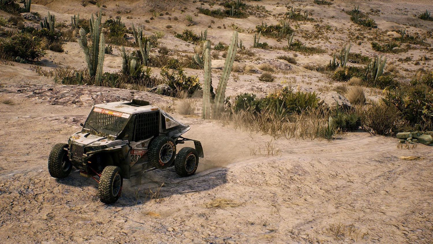Dakar 18