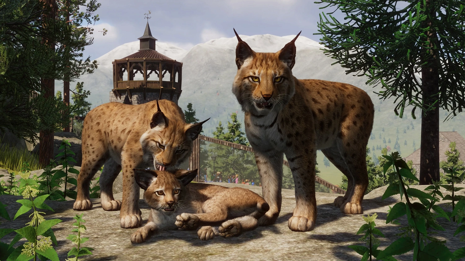 Planet Zoo: Console Edition