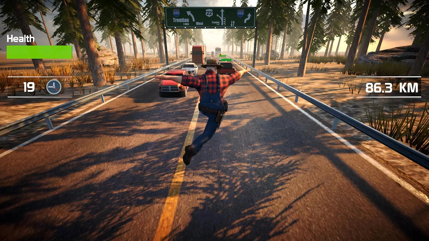 Traffic Survivor