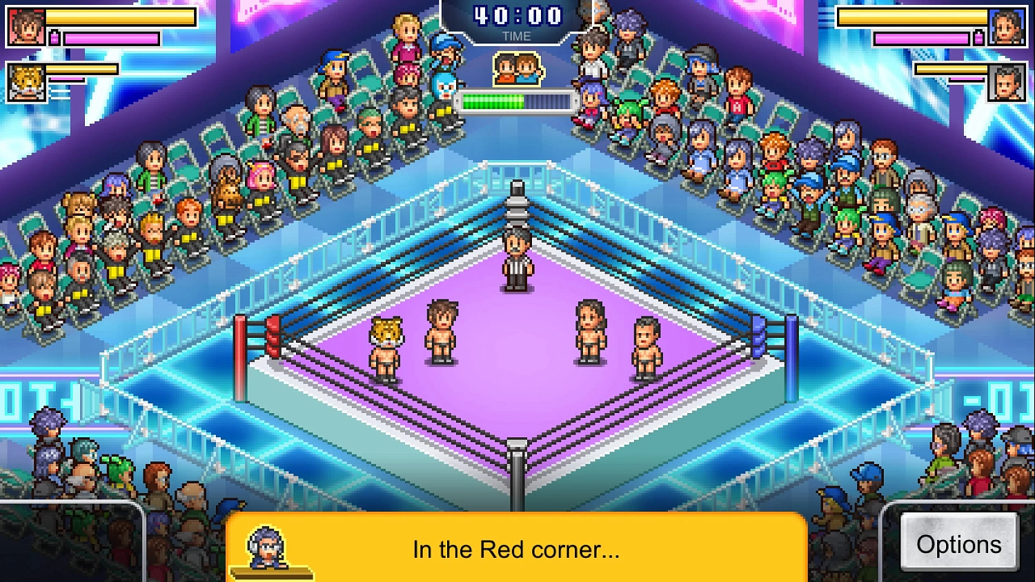 Pro Wrestler Story