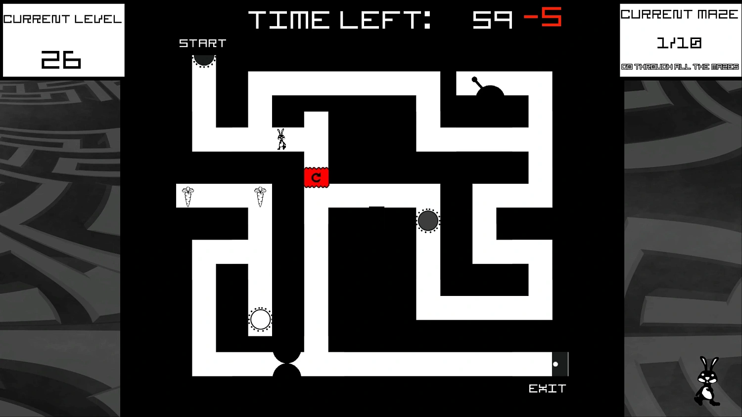 Bunny Mazes