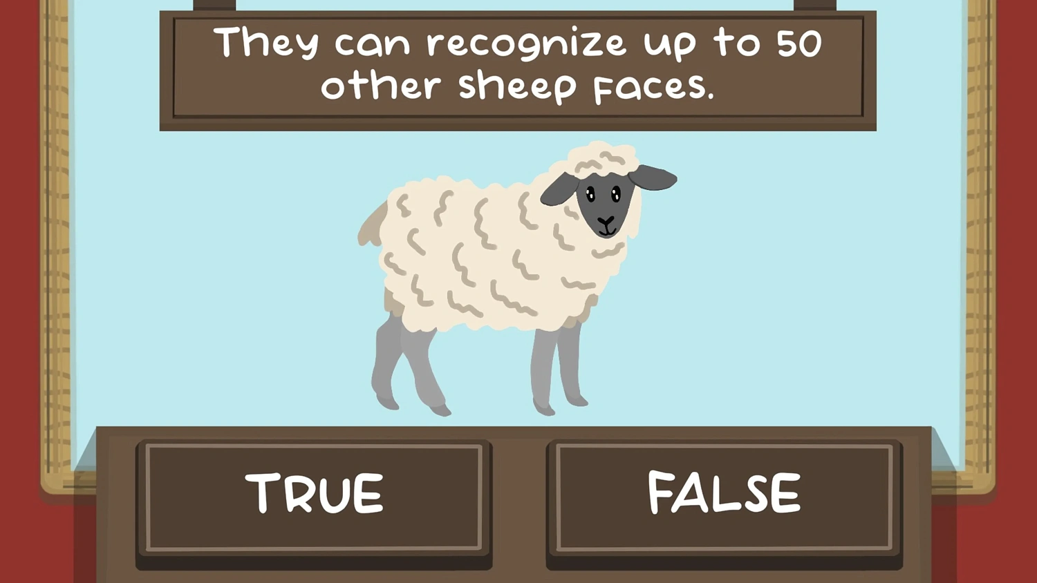 The Sheep Quiz