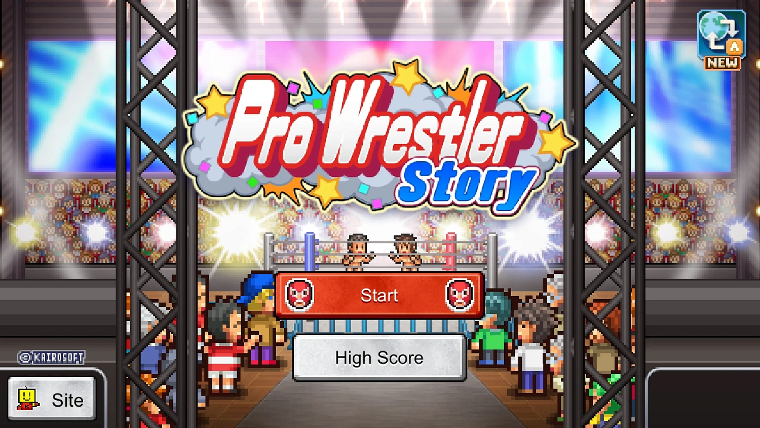 Pro Wrestler Story