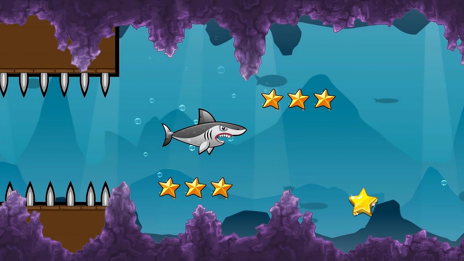 Shark Adventure