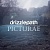 Drizzlepath: Picturae
