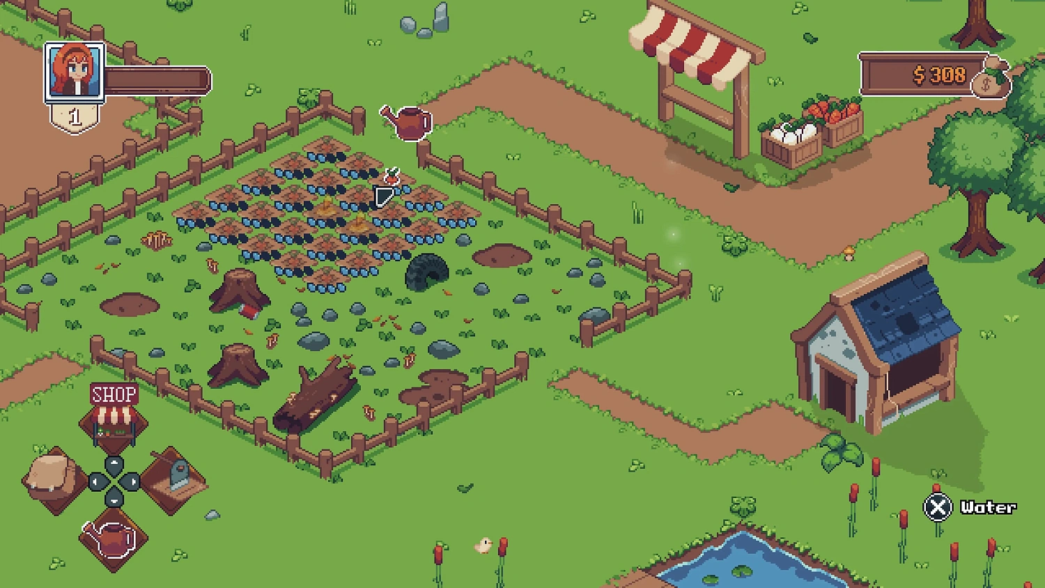 Tiny Little Farm