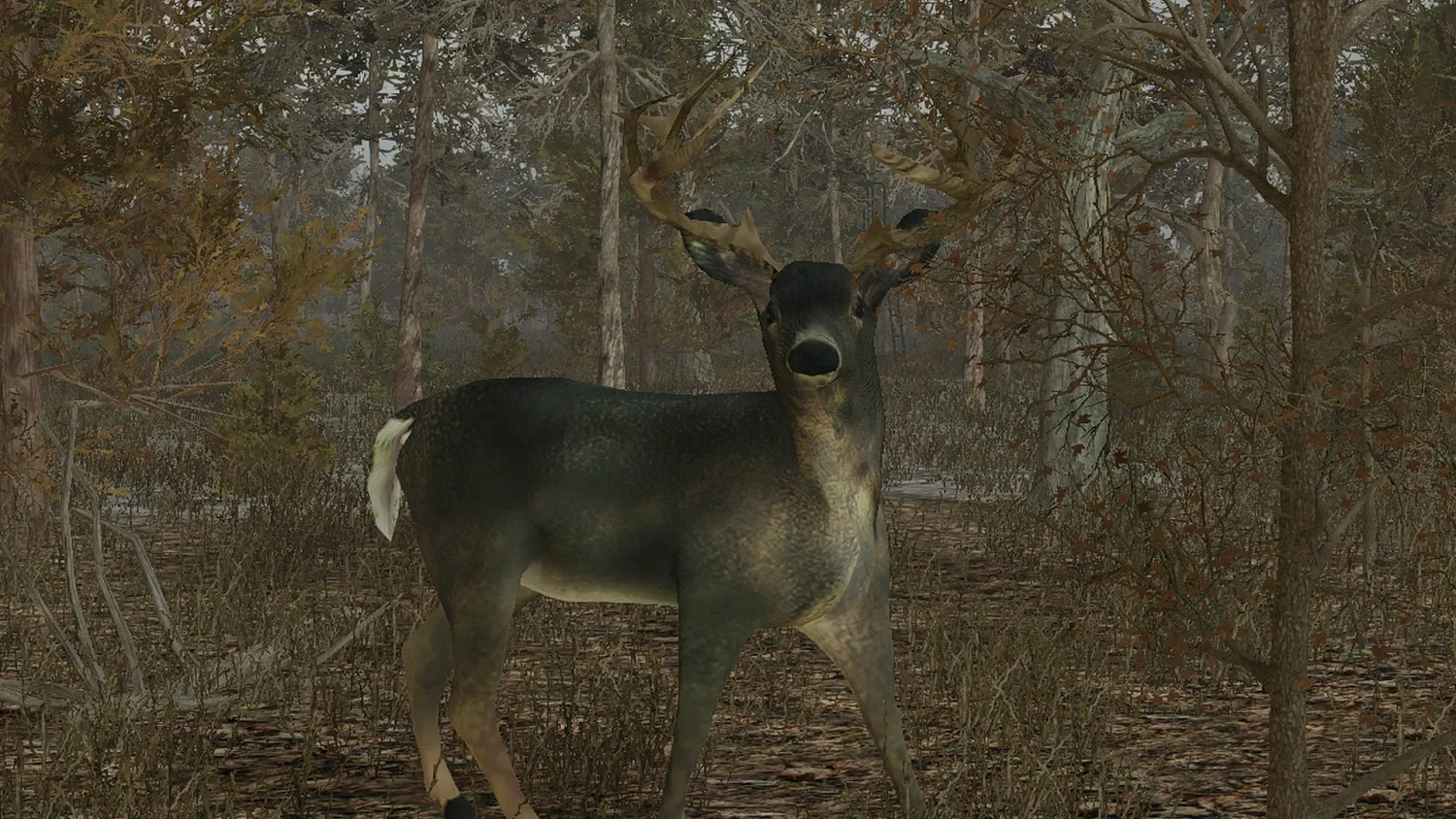 Pro Deer Hunting