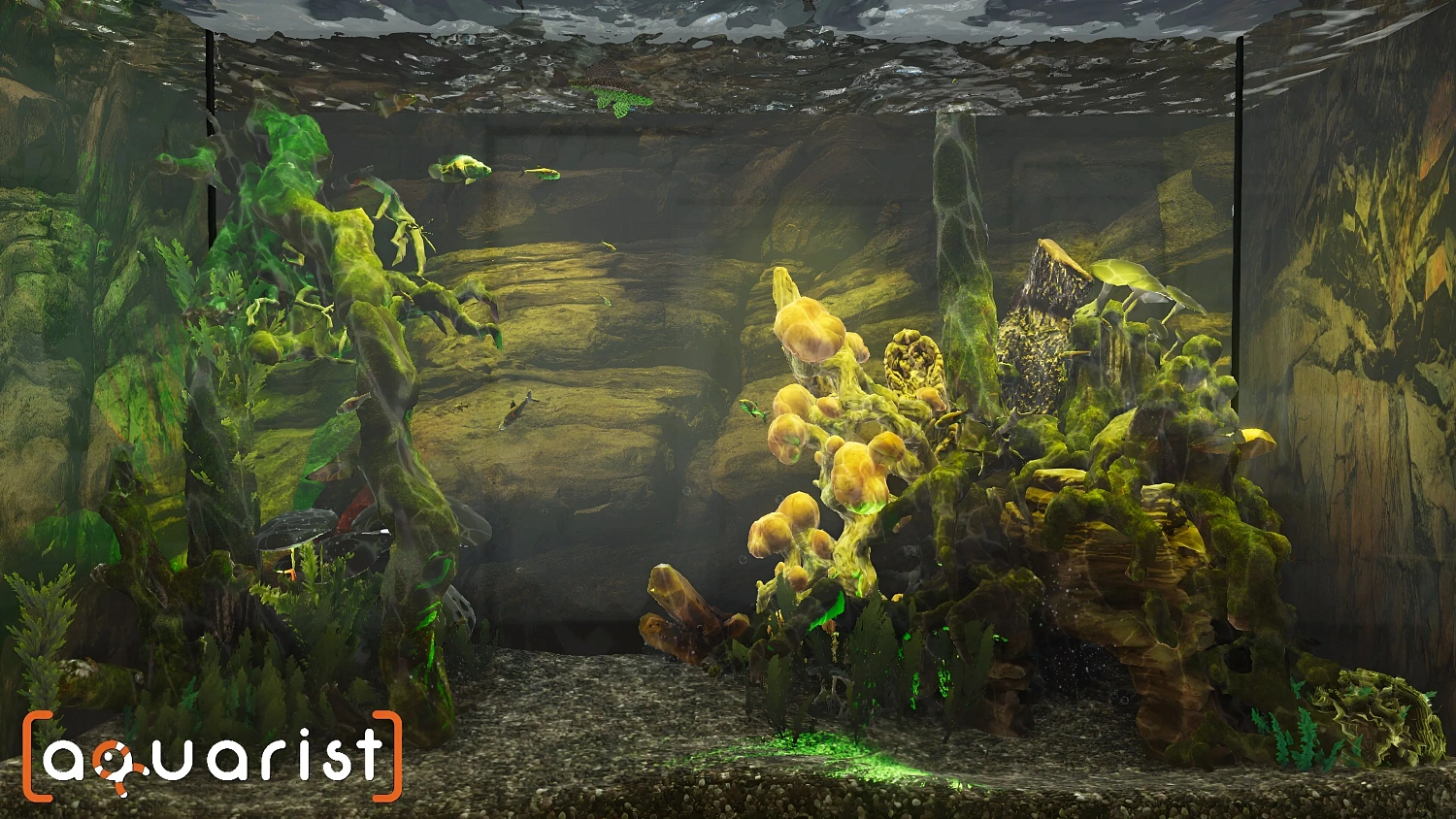 Aquarist