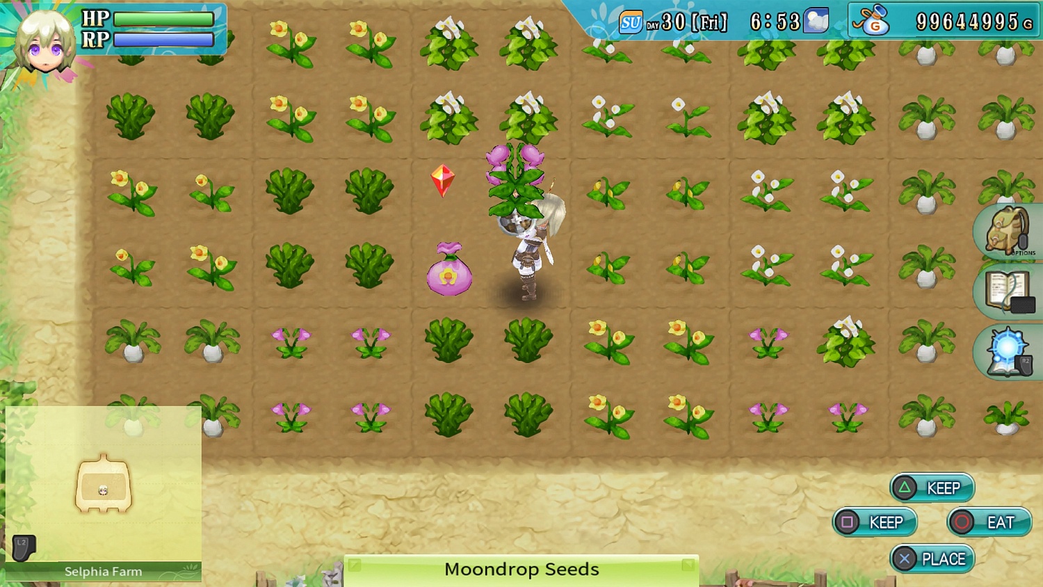 Rune Factory 4 Special