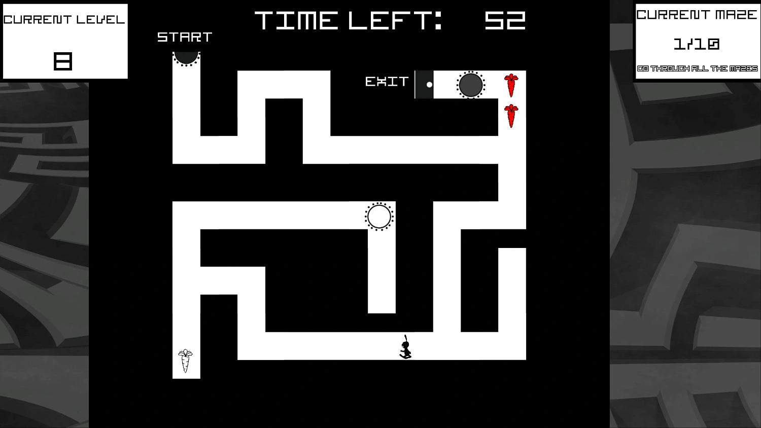 Bunny Mazes