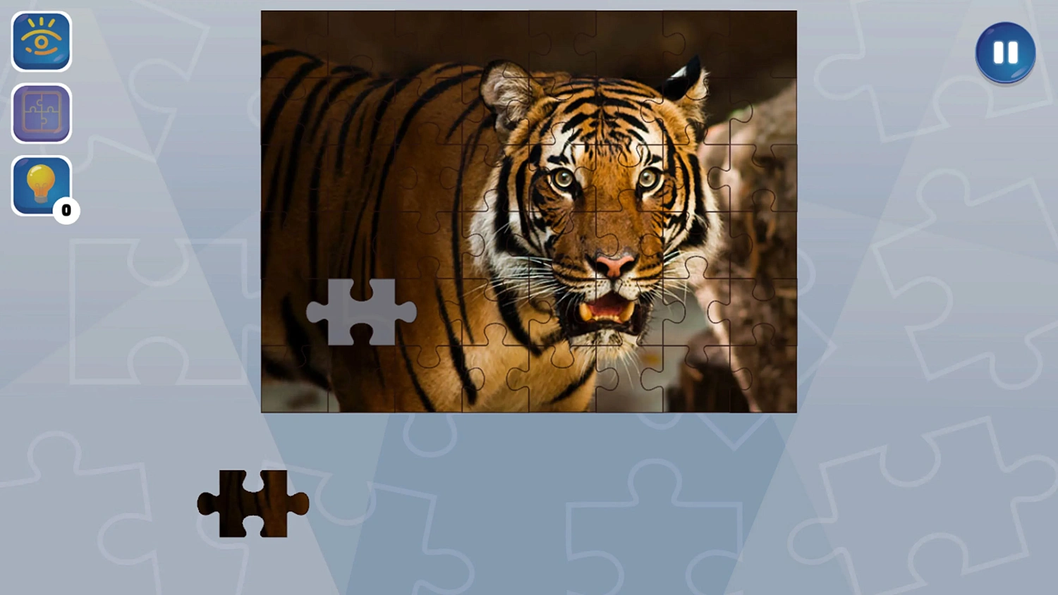 Jigsaw Puzzle Fever
