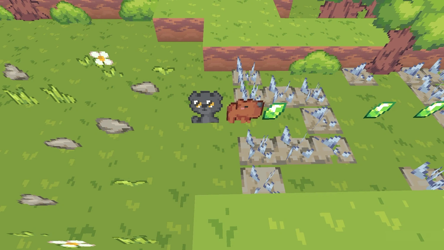 Capy’s Quest