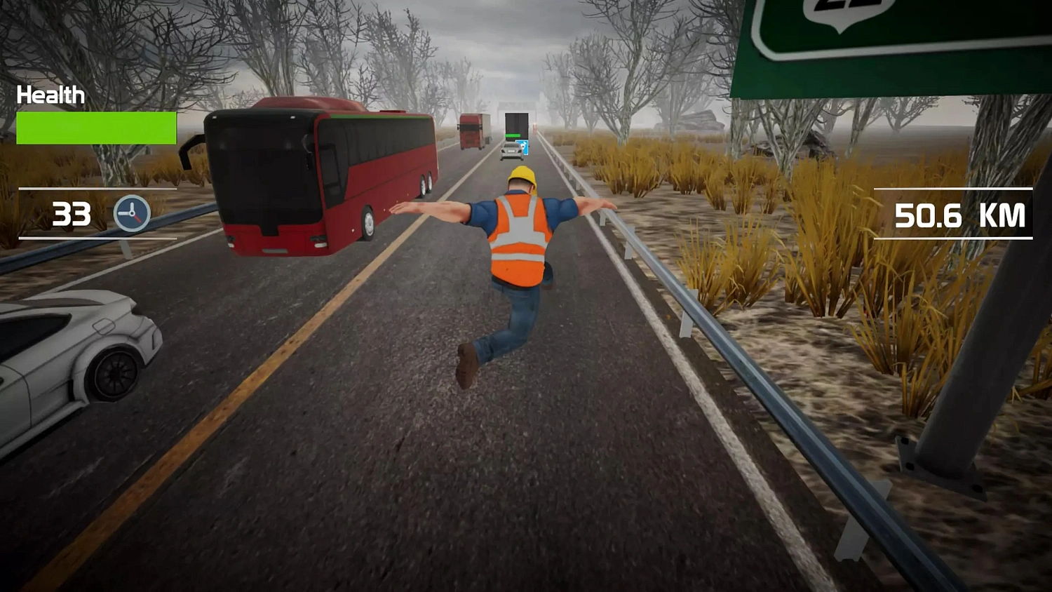 Traffic Survivor
