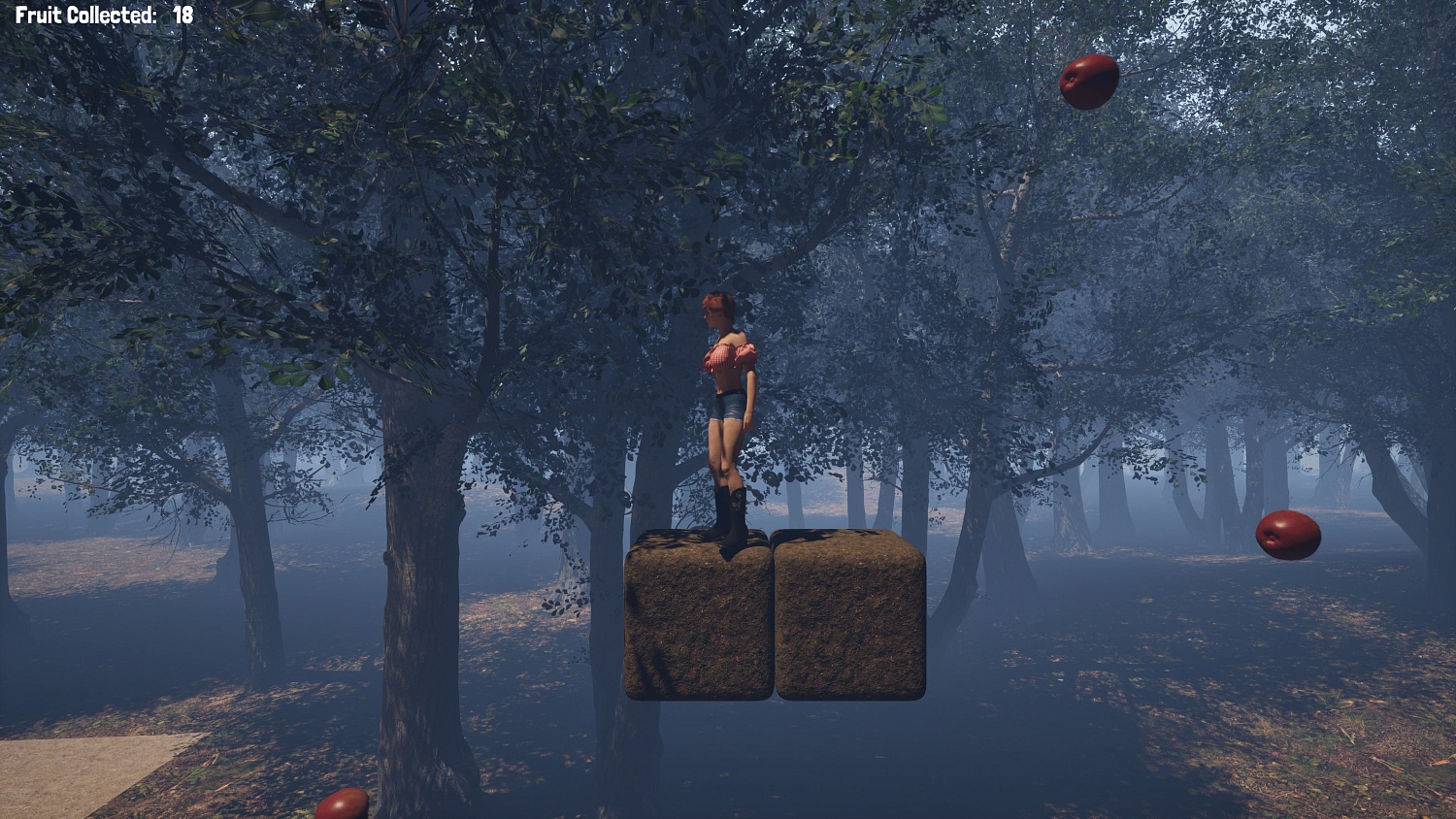 Fruit Collector