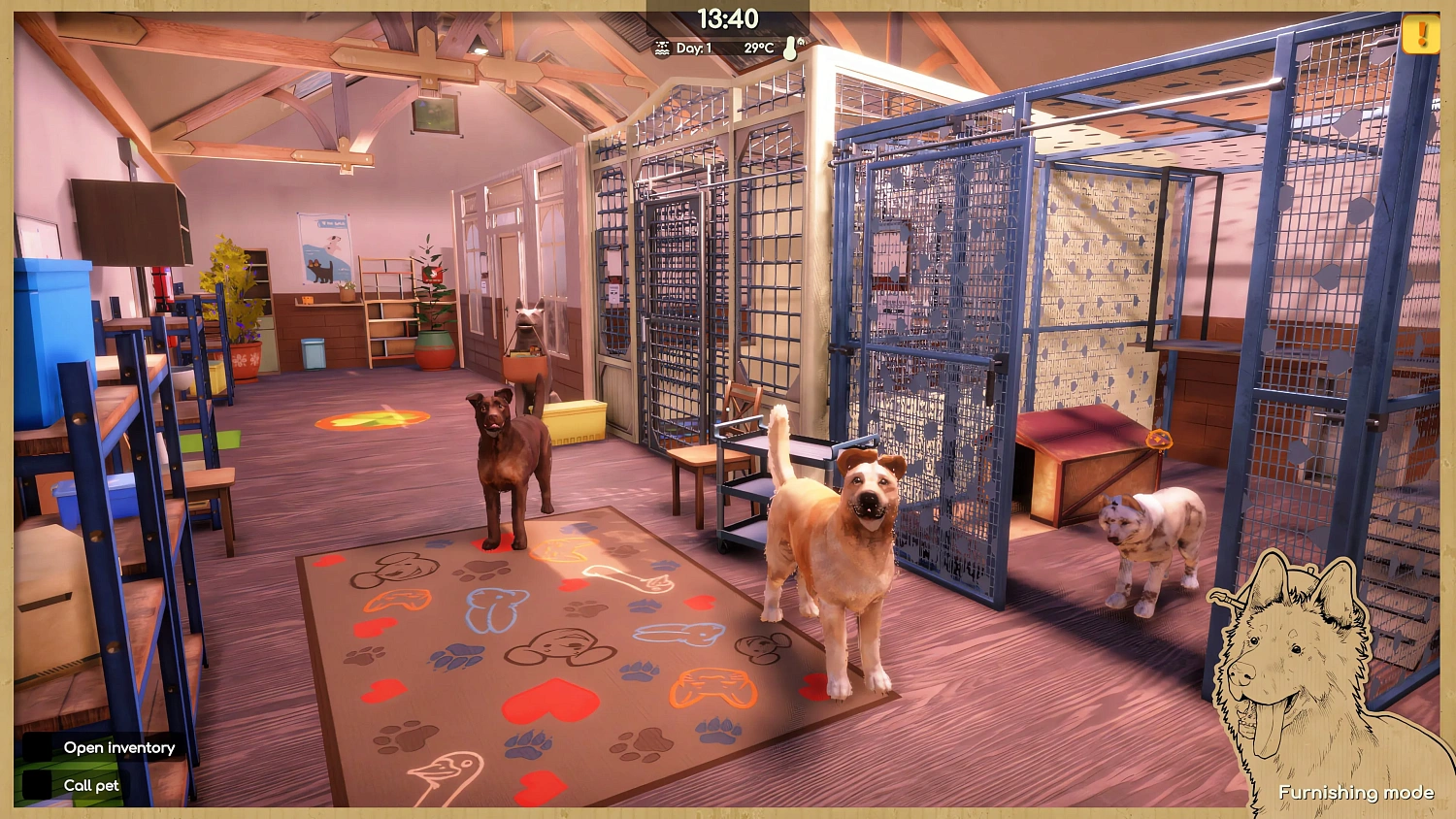 Animal Shelter 2