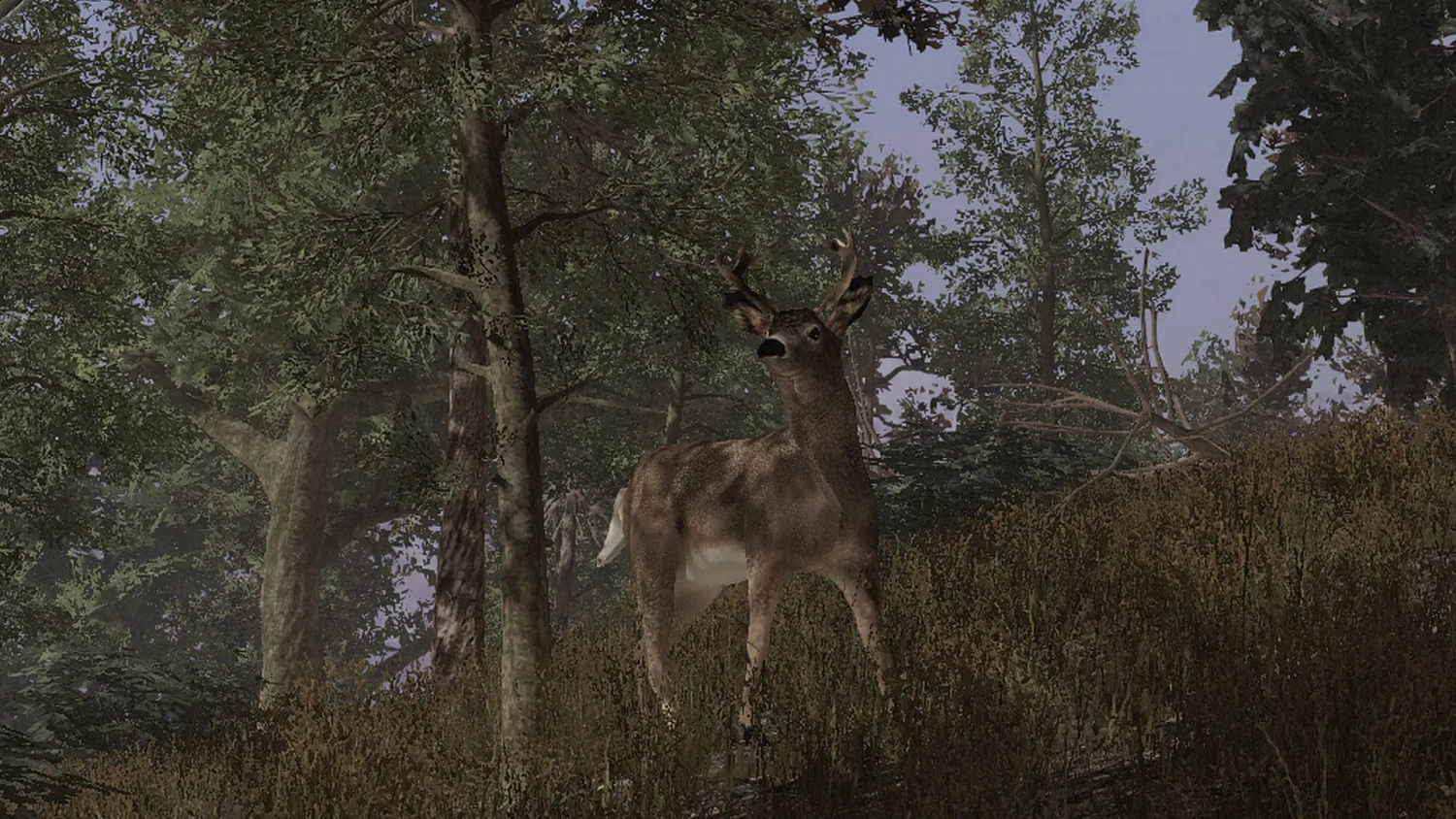 Pro Deer Hunting
