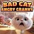 Bad Cat Angry Granny