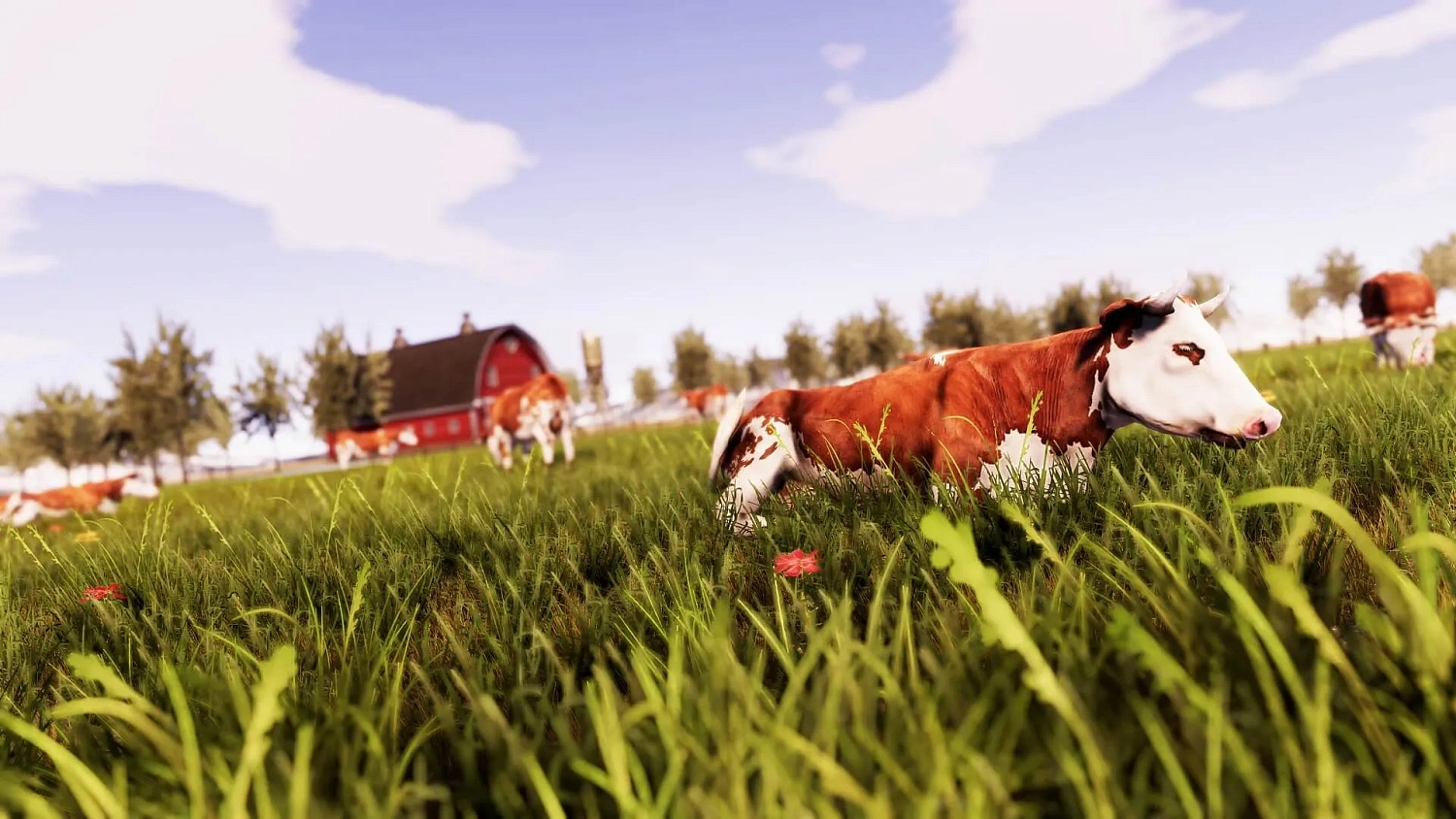 RealFarm
