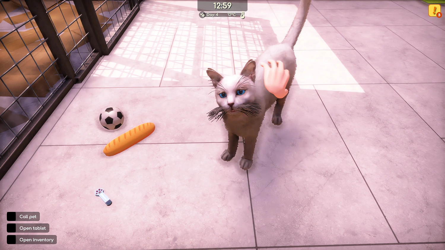 Animal Shelter 2