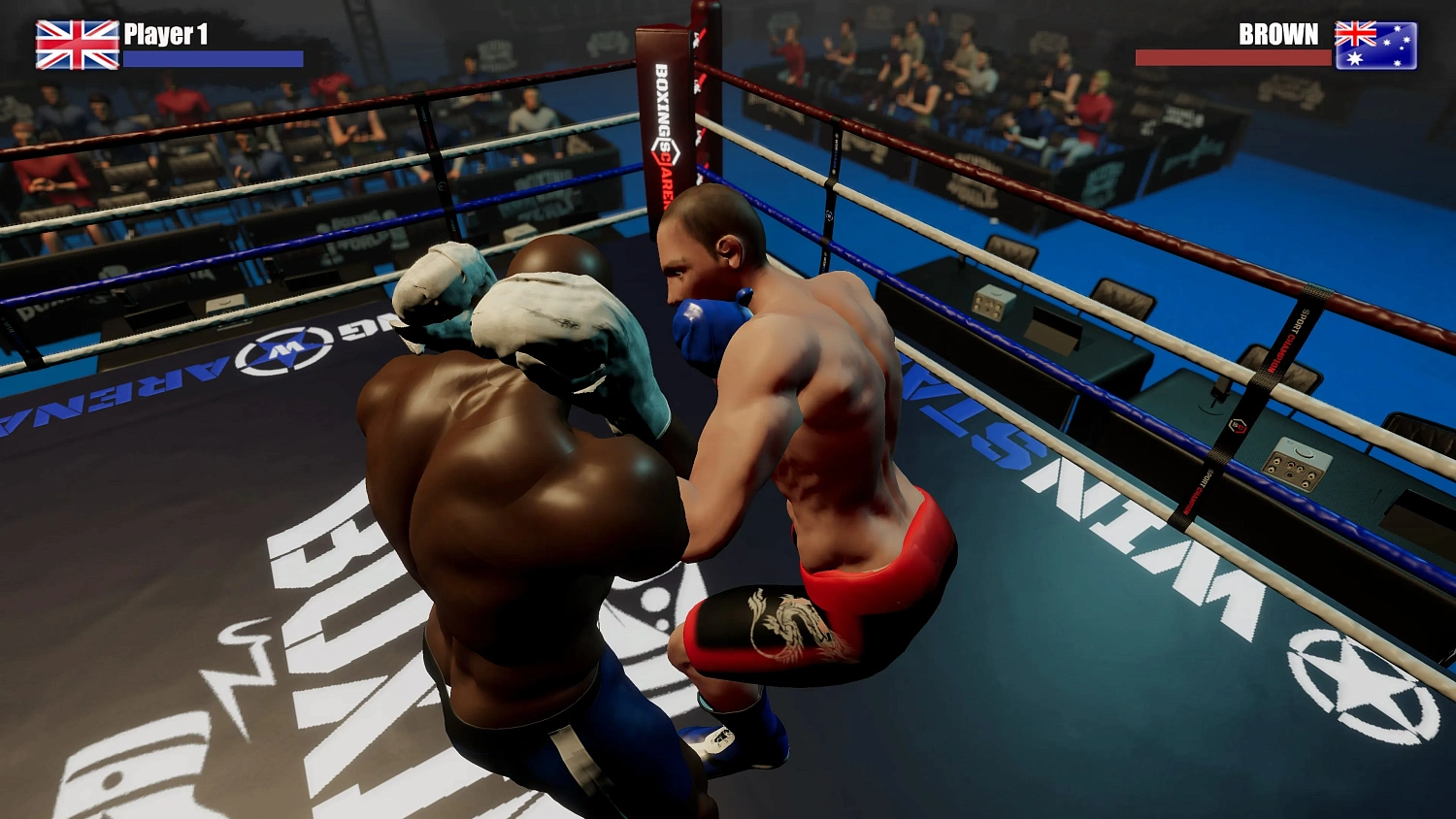 Rookie Boxing