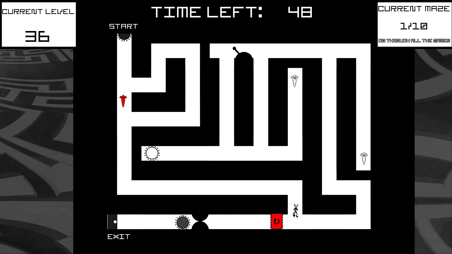 Bunny Mazes